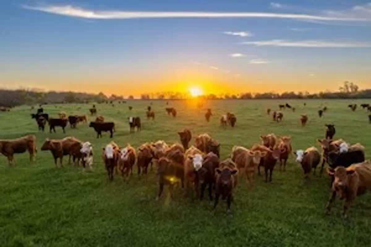La Provincia lidera la acreditación ambiental para potenciar el comercio internacional
