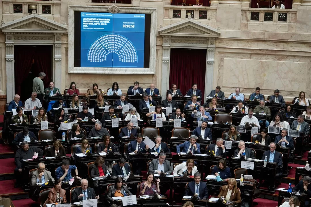 Ley de Discapacidad: el oficialismo logró el apoyo de UxP y se aprobó el proyecto con una mayoría abrumadora