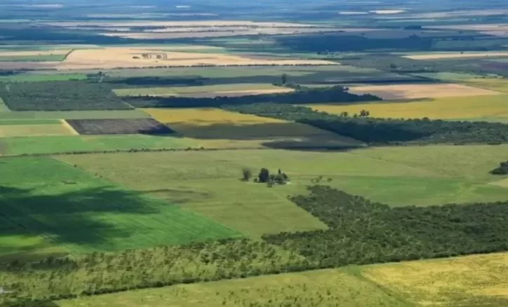 La Corte revocó el fallo que declaraba inconstitucional la derogación de la Ley de Tierras