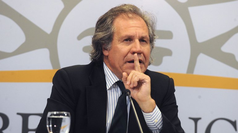 La OEA exigió que 