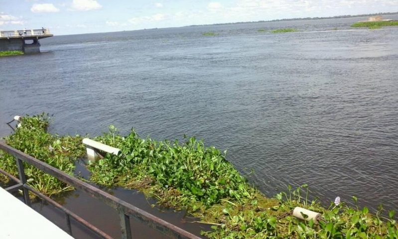 Crecida del Río Paraná - Costanera santafesina