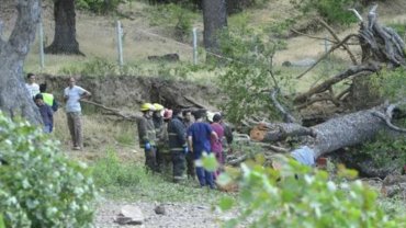 Tragedia en San Martín de los Andes: dos niños murieron aplastados por un árbol