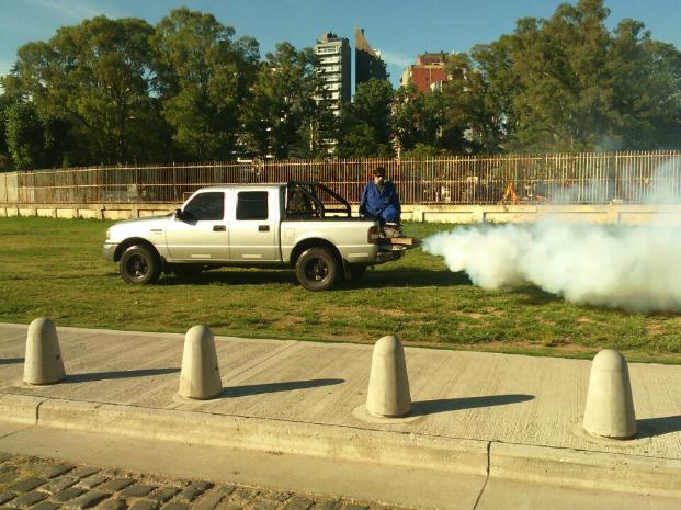 Ya hay 11 casos de dengue en Rosario y se analiza si el último es autóctono 
