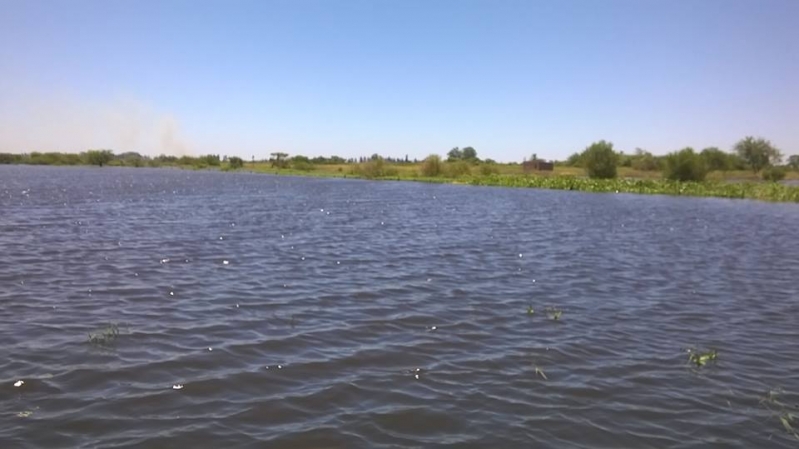 Crecida del Río Paraná - Islas
