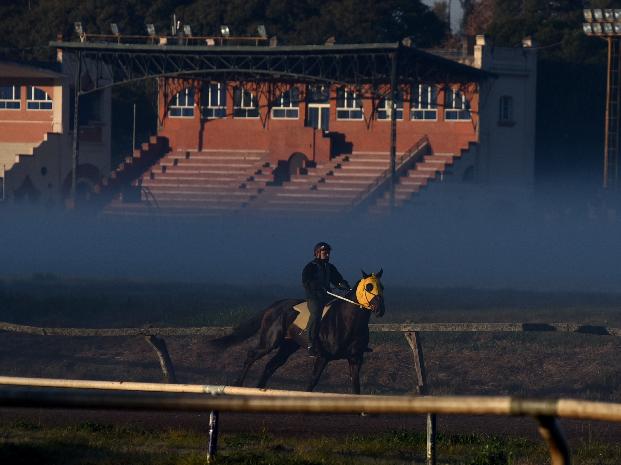 Robó un caballo del Hipódromo y lo capturaron cuando cabalgaba por barrio Bella Vista 