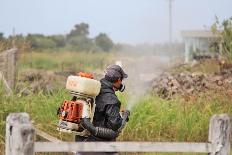 Continúan los trabajos de fumigación en la ciudad