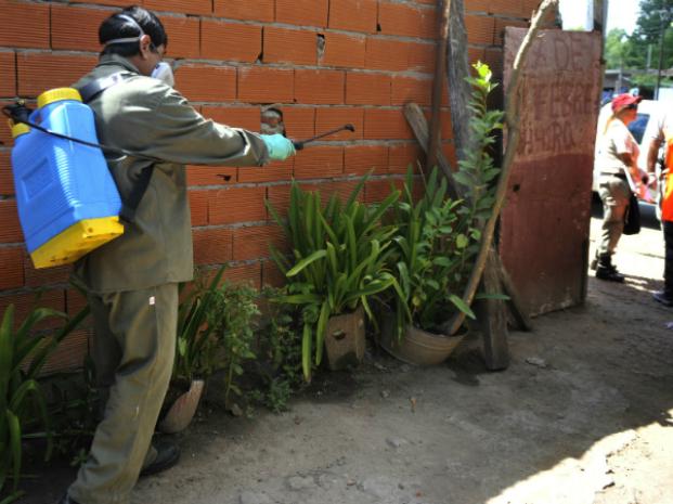 El Ministerio de Salud provincial confirmó que Rosario tiene 15 casos de dengue autóctono 