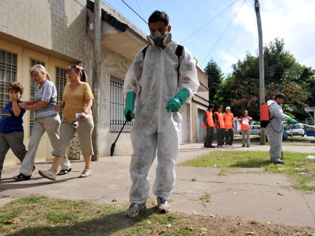 Afirman que los mosquitos que transmiten dengue, zika y chikungunya \