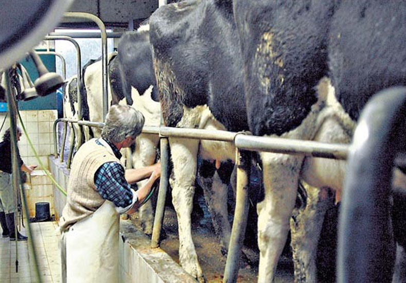 Santa Fe, Córdoba y Buenos Aires buscan una salida a la crisis lechera