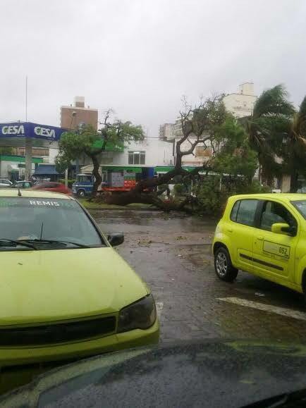 Temporal en Santa Fe - Boulevard Gálvez y 25 de Mayo