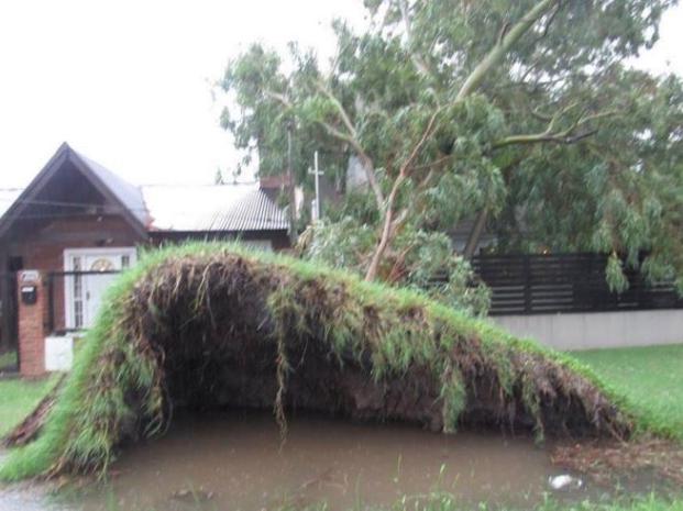 Cayeron más de 100 milímetros de agua, sigue la lluvia y continúa el alerta por el temporal