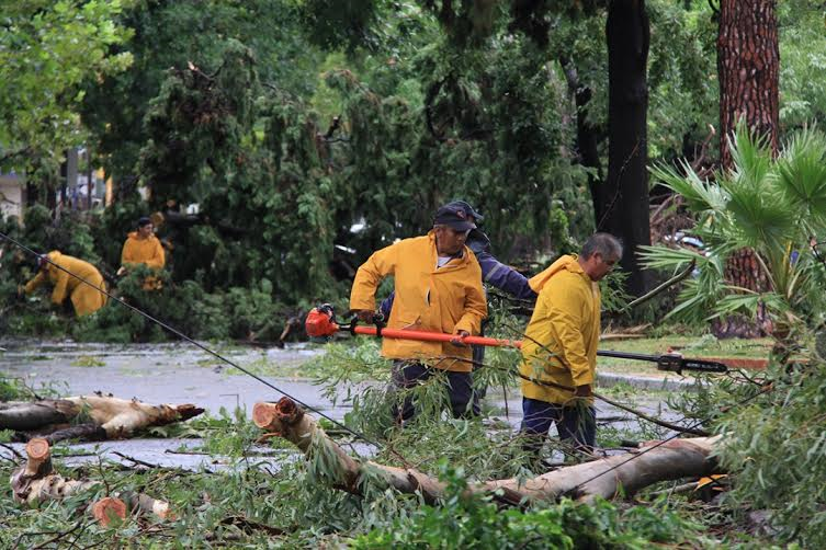 Temporal en Santa Fe - Cuadrillas de la Municipalidad