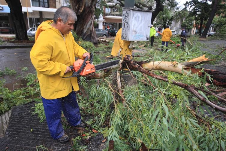 Temporal: más de 30 cuadrillas municipales trabajan en toda la Ciudad de Santa Fe