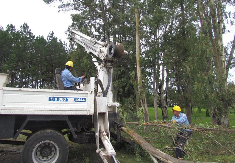 Cinco días podría llevar restablecer el servicio de luz en su totalidad