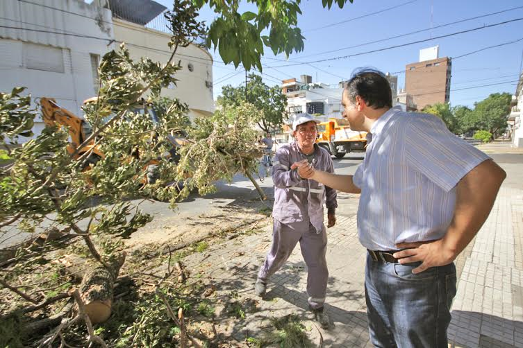 Temporal en Santa Fe - Corral con empleados municipales