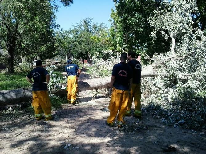 Temporal en Santo Tomé - Empleados municipales