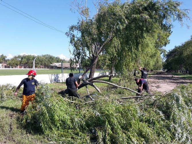 Se retoman progresivamente los servicios de agua potable y energía eléctrica