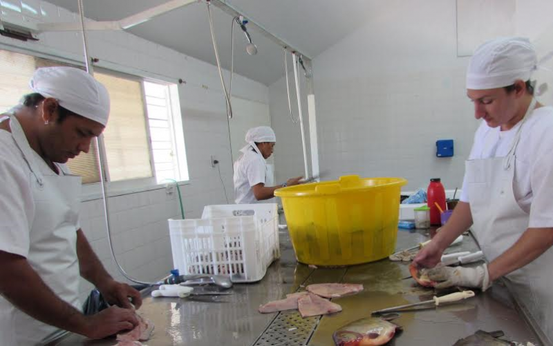 Capacitarán para el procesamiento del pescado en San Javier