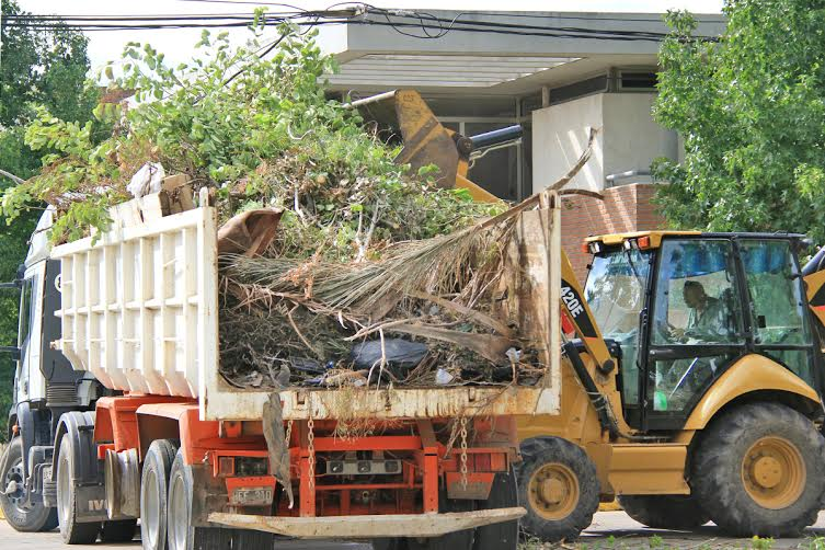 Temporal: El Municipio ya recogió más de 8.000 toneladas de ramas y árboles caídos