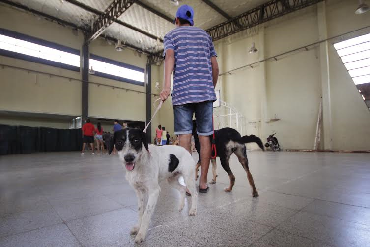Tenencia responsable de mascotas