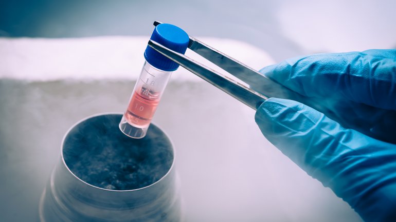 Un científico argentino participó de un importante descubrimiento sobre VIH