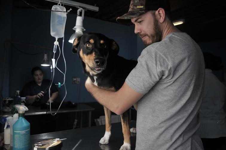 Castración de mascotas en Pro Adelanto Barranquitas