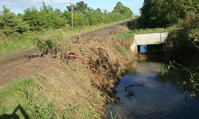 Cordón frutihortícola de Santa Fe - Inundada por lluvias