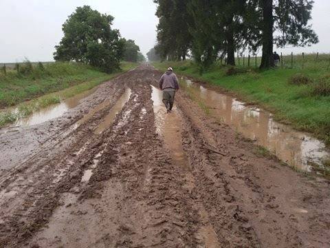 Los productores renegocian contratos con los propietarios