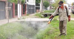 Continúan las fumigaciones en la ciudad