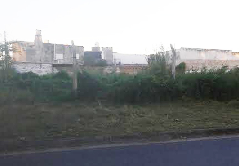 Reclamos por terrenos baldíos y calles destruidas