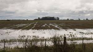 “El campo santafesino perdió 2800 millones de dólares”