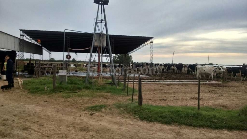 Murió bebe ahogado en el bebedero de un tambo