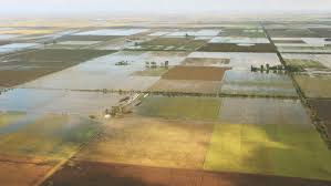 El sector agropecuario no recibió ningún anuncio sobre créditos