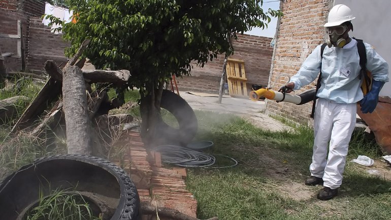 Continúan las fumigaciones en la ciudad