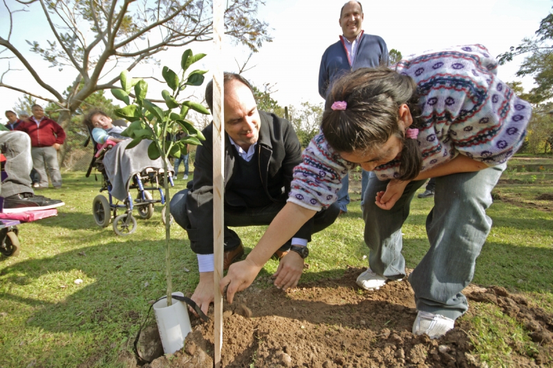 Árboles frutales perfuman el patio de Un Mundo Especial