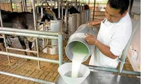 La industria santafesina cerró un semestre de retroceso