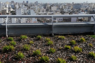 El aire más puro se respira en el primer edificio sustentable