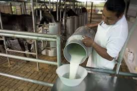Créditos por un millón de pesos a productores lácteos