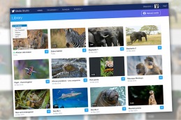 Twitter lanzó una herramienta “más eficaz” para gestionar contenidos multimedia