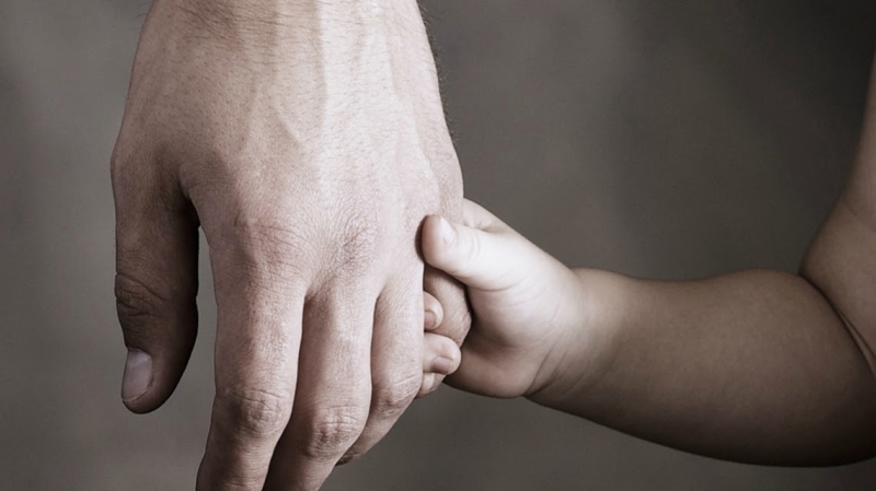 Se realizaron nueve trasplantes con donantes del HECA