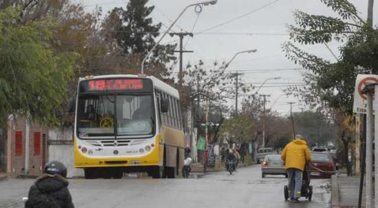 Realizaron 