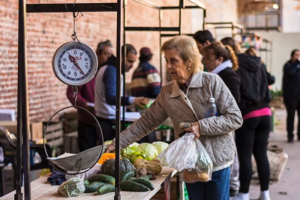 Juntan firmas para reinstalar la feria La Verdecita 
