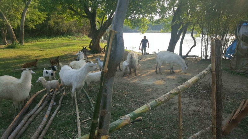La provincia asiste a familias agrícolas del norte 