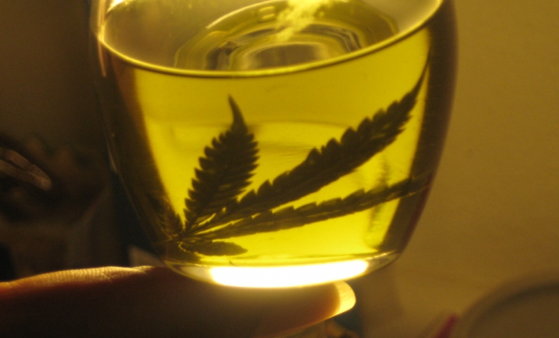 Incorporan el aceite de cannabis a tratamientos médicos