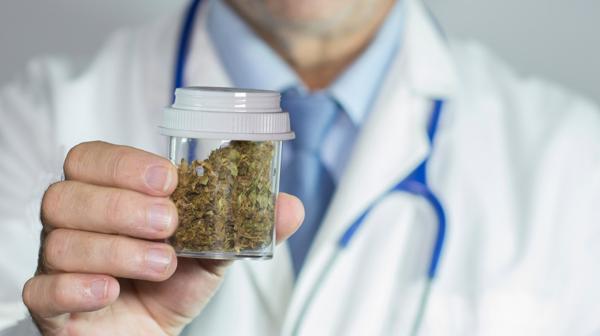 El LIF estudiará la fabricación del cannabis medicinal