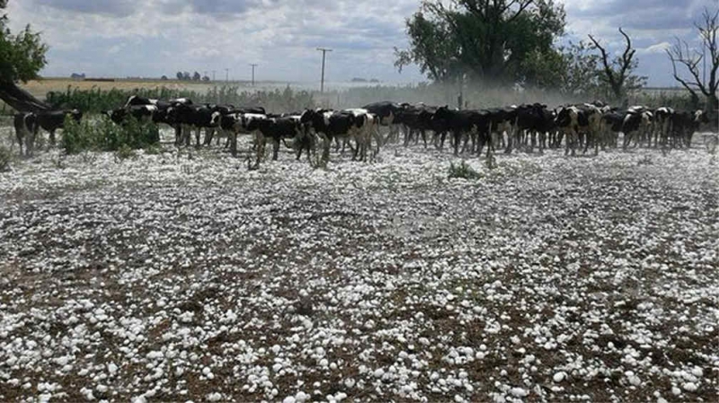 El temporal afectó productores de Las Colonias y Garay