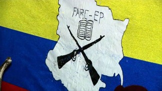 Dos guerrilleros de las FARC murieron en un combate aislado