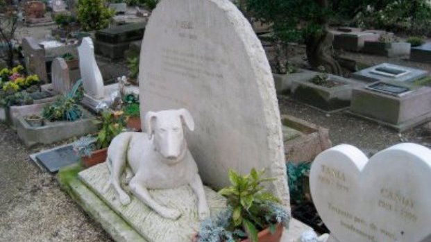 Se aprobó la creación de un cementerio de animales