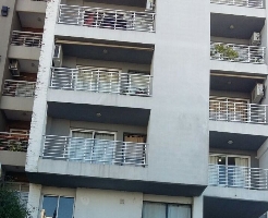 El hombre araña volvió a robar en un edificio