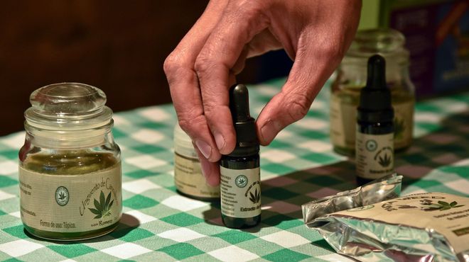 Es ley el uso medicinal del cannabis